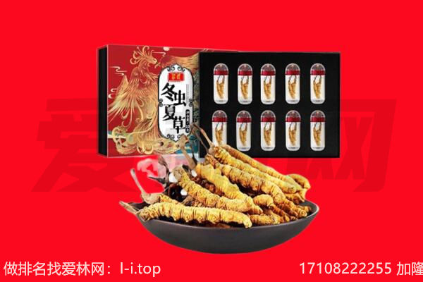 钦州市回收虫草.jpg